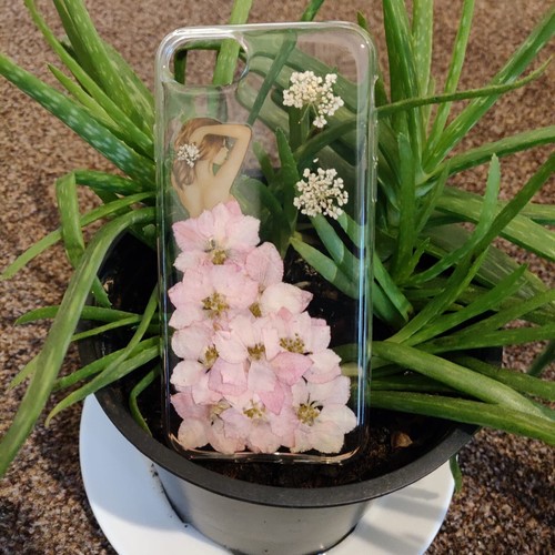 Natural dried pressed flower - dried,